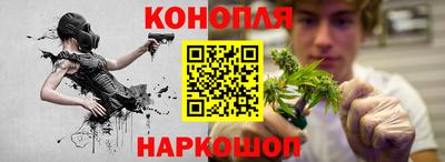 прущие грибы Аргун