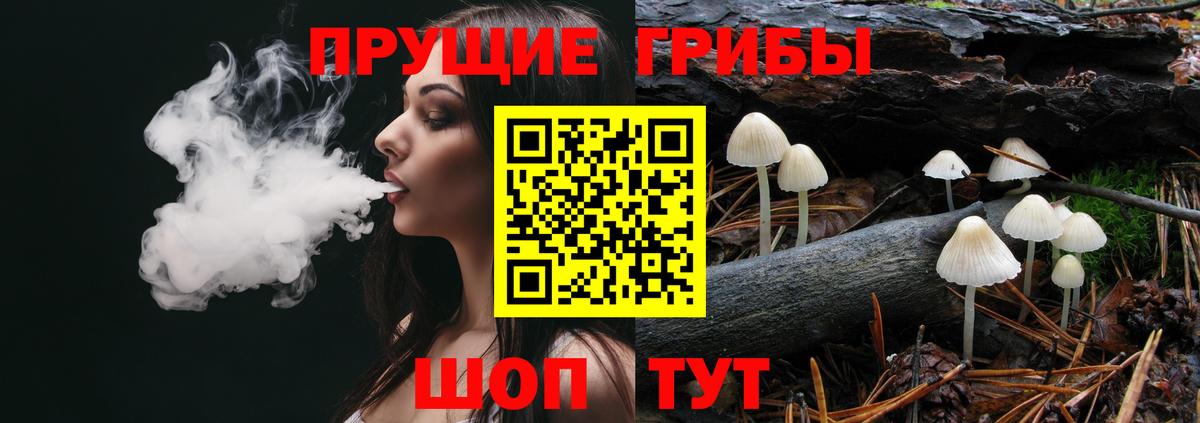 Галлюциногенные грибы GOLDEN TEACHER  Вход с VPN  Асино 